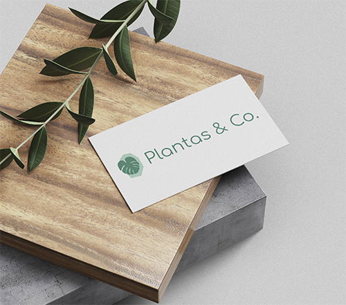 Plantas e Co